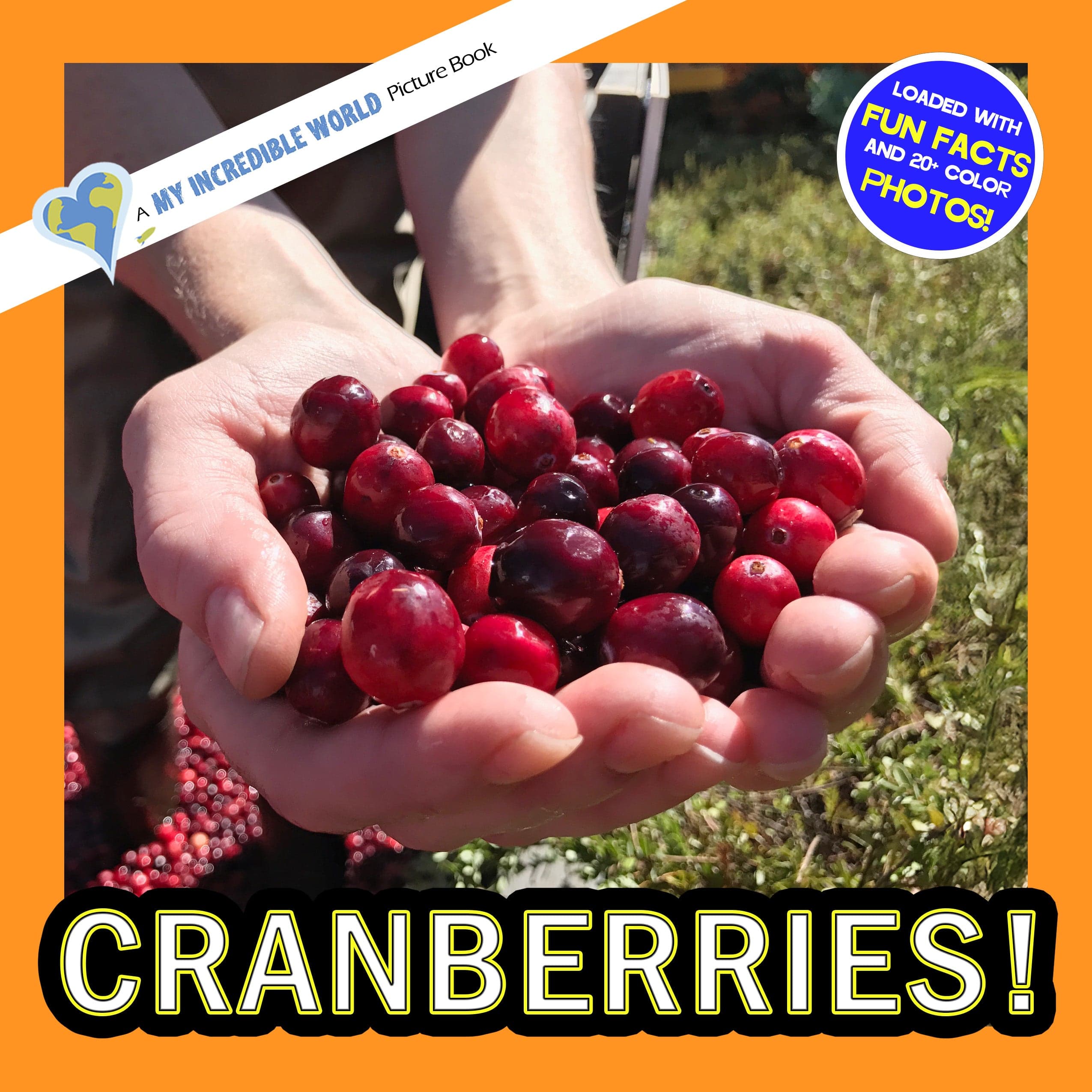 Cranberries! A My Incredible World Picture Book for Children
